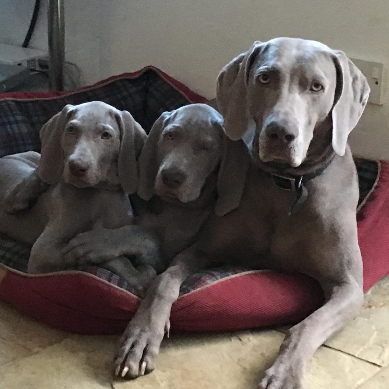 WhatsApp Image 2025-06-20 at 19.01.47_f6d906f8